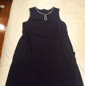 Cute Lands' End Sheath Dress